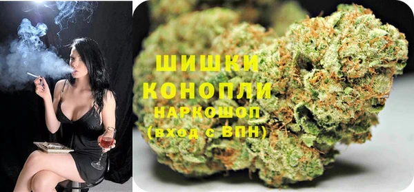 шишки Алексеевка