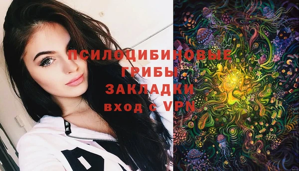 шишки Алексеевка