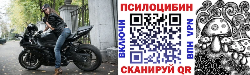 купить закладку  блэк спрут tor  Псилоцибиновые грибы мицелий  сайты даркнета наркотические препараты  Харабали 